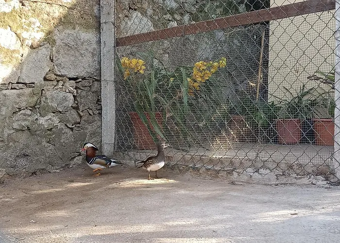Casa De Santa Luzia B