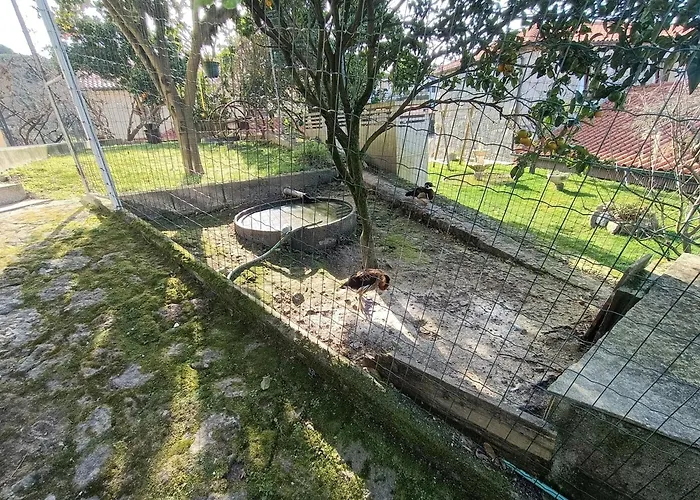 Casa De Santa Luzia B