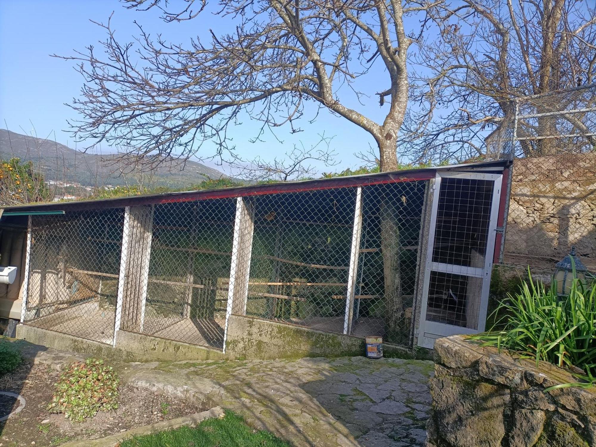 Casa De Santa Luzia B Hébergement de vacances Caminha