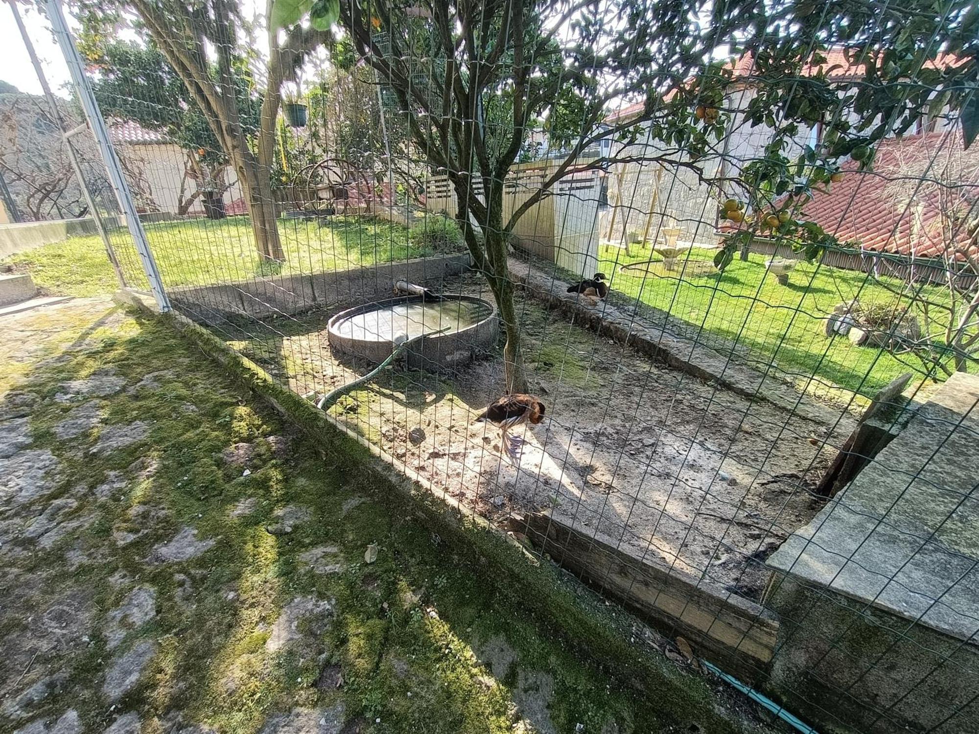 Hébergement de vacances Casa De Santa Luzia B Caminha